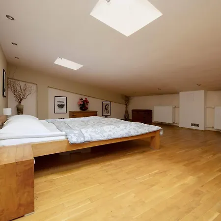 Spacious Two-bedroom In The Centre By Renters