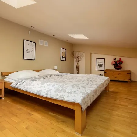 Spacious Two-bedroom In The Centre By Renters *